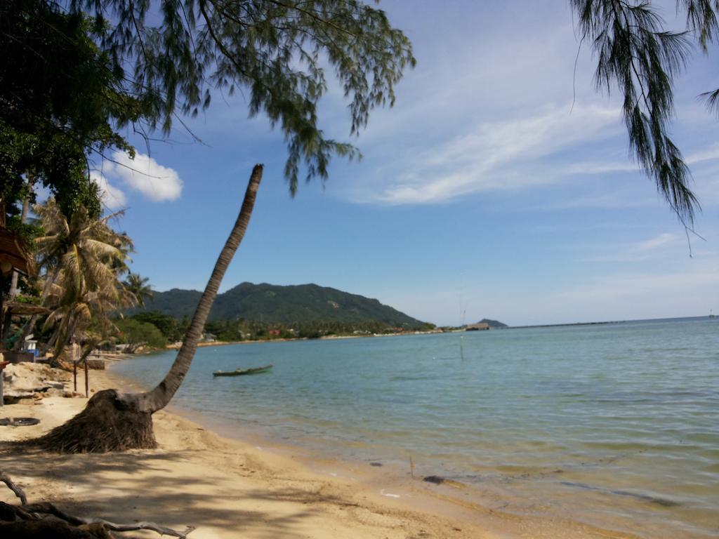 Abc Bungalow Baan Tai Bagian luar foto
